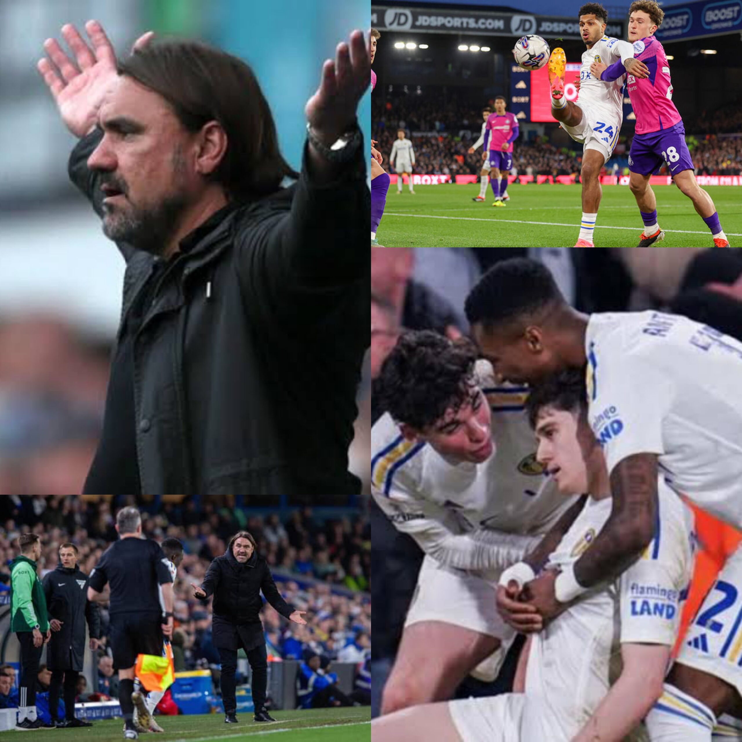 SHOCKING: Daniel Farke points fingers at English ref for sabotaging Leeds United’s victory over Sunderland!