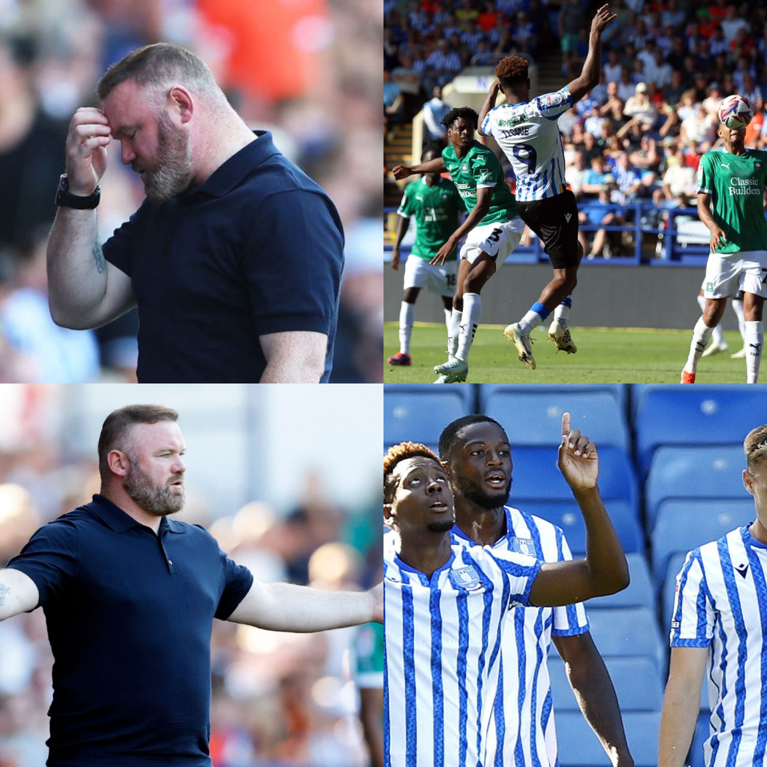 “We’ve to because..” Pundit SHOCKS fans by throwing full support behind struggling Plymouth Argyle manager after EPIC Sheffield Wednesday disaster